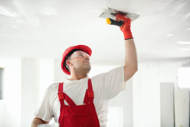 Best Black Mold Removal  in Beacon Square, FL